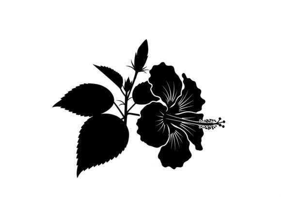 Black Silhouette of Hibiscus Flower Graphics for Etsy & Digital Sellers